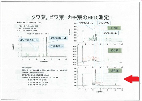 柿の葉機能性2a