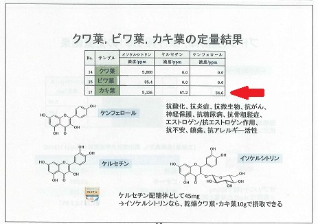 柿の葉機能性2b