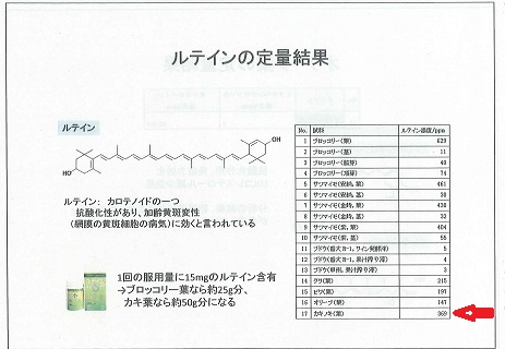 柿の葉機能性3