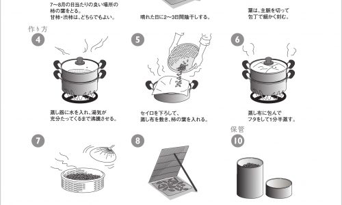 柿茶・柿の葉茶 作り方