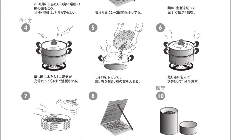 柿茶・柿の葉茶 作り方