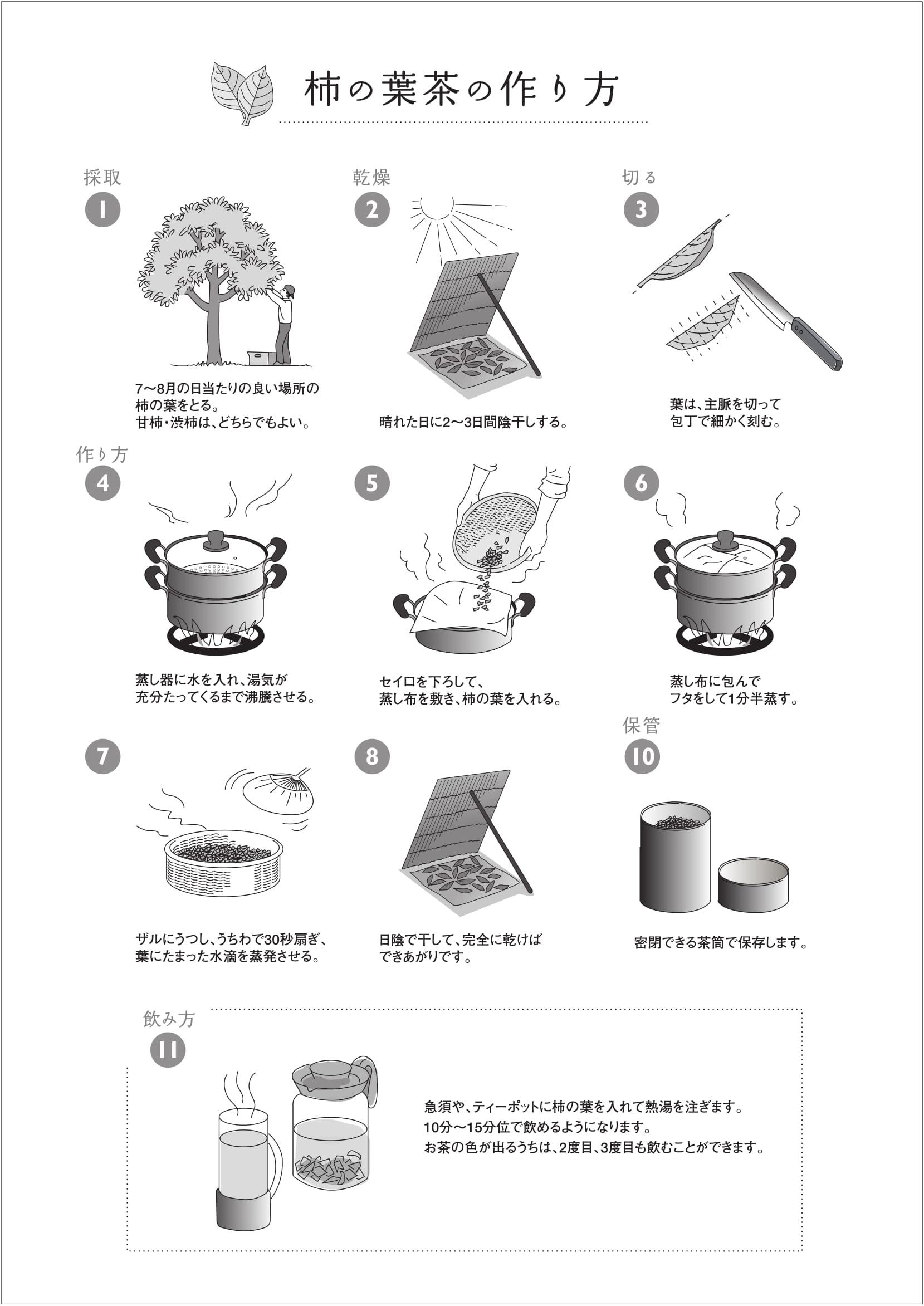 家庭でできる柿の葉茶の作り方です 昔から手作り柿の葉茶の作り方をご紹介します 柿茶 柿茶本舗ブログ 美容と健康に